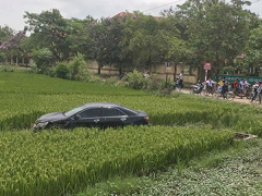 Ảnh bìa bài viết 452792