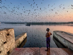 Ảnh bìa bài viết 453038