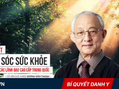 Ảnh bìa bài viết 452998