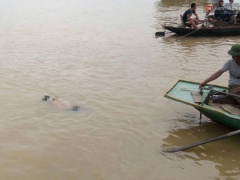 Ảnh bìa bài viết 453134