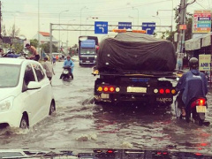 Ảnh bìa bài viết 453108