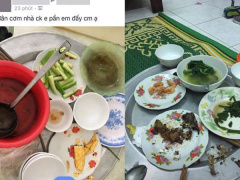 Ảnh bìa bài viết 453114