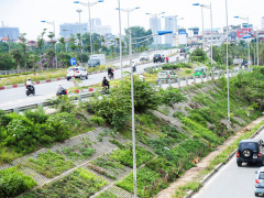 Ảnh bìa bài viết 453548