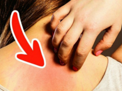 Ảnh bìa bài viết 453739