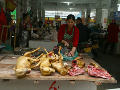 Ảnh bìa bài viết 453685
