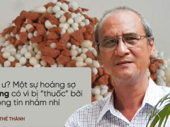 Ảnh bìa bài viết 453897