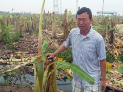 Ảnh bìa bài viết 454050