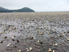 Ảnh bìa bài viết 454093