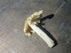 Ảnh bìa bài viết 454266