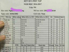 Ảnh bìa bài viết 454659