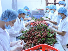 Ảnh bìa bài viết 454610