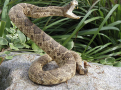 Ảnh bìa bài viết 454583