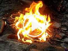 Ảnh bìa bài viết 454750