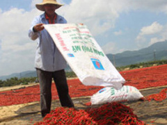 Ảnh bìa bài viết 454891