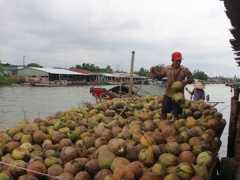 Ảnh bìa bài viết 454752