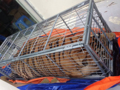 Ảnh bìa bài viết 455229