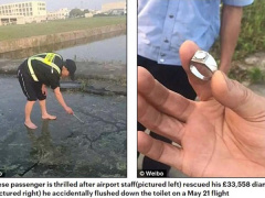 Ảnh bìa bài viết 455261