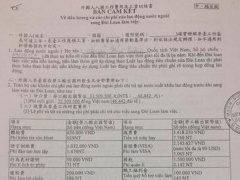 Ảnh bìa bài viết 455505