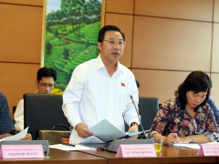 Ảnh bìa bài viết 455534