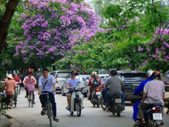 Ảnh bìa bài viết 455275