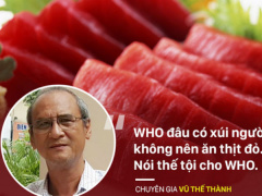Ảnh bìa bài viết 455456