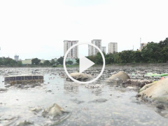 Ảnh bìa bài viết 455298