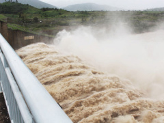 Ảnh bìa bài viết 455683