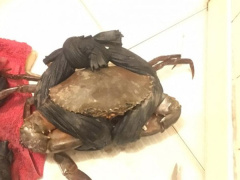 Ảnh bìa bài viết 455635