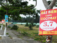 Ảnh bìa bài viết 455640