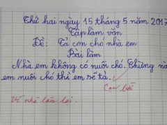 Ảnh bìa bài viết 455865