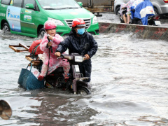Ảnh bìa bài viết 456385