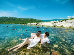Ảnh bìa bài viết 456631