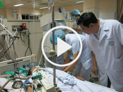 Ảnh bìa bài viết 456634