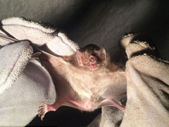 Ảnh bìa bài viết 456978