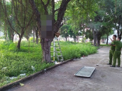 Ảnh bìa bài viết 456965