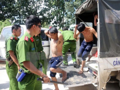 Ảnh bìa bài viết 456979