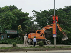Ảnh bìa bài viết 457180