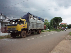 Ảnh bìa bài viết 457590