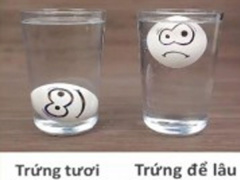 Ảnh bìa bài viết 457490