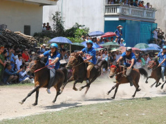 Ảnh bìa bài viết 457748