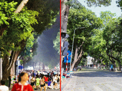 Ảnh bìa bài viết 457754