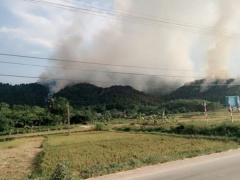 Ảnh bìa bài viết 458051
