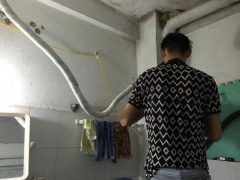 Ảnh bìa bài viết 457894