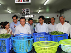 Ảnh bìa bài viết 457806