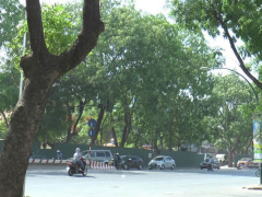 Ảnh bìa bài viết 457786
