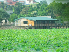 Ảnh bìa bài viết 458181