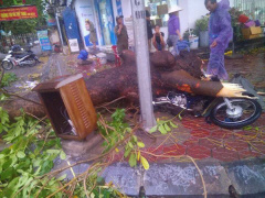 Ảnh bìa bài viết 458342