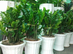 Ảnh bìa bài viết 458556