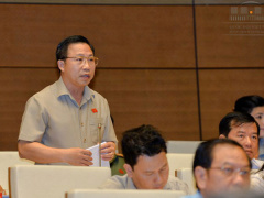 Ảnh bìa bài viết 458363