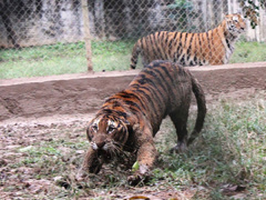 Ảnh bìa bài viết 458576